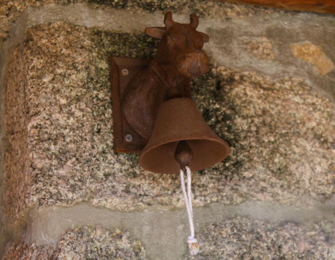 Casa Boletus Villa Castro Laboreiro Exteriör bild