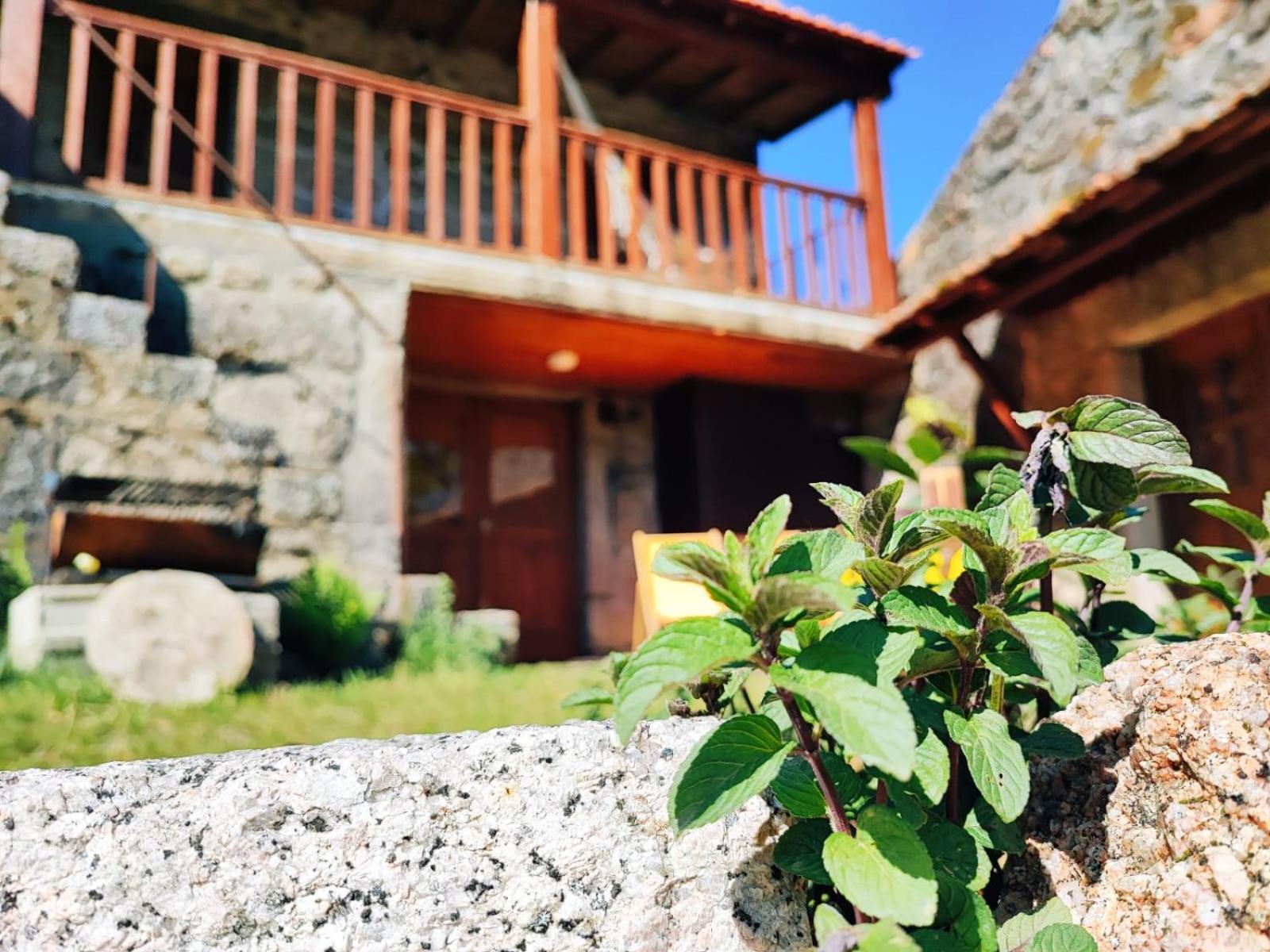 Casa Boletus Villa Castro Laboreiro Exteriör bild